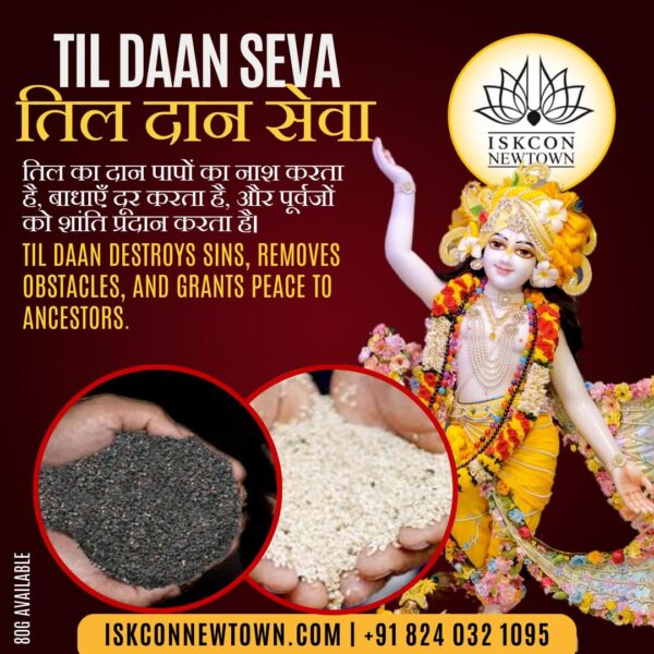 TIL DAAN SEVA
