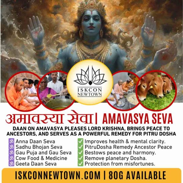 amavasya daan