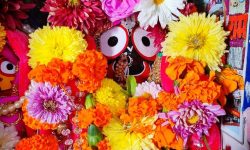 ISKCON Rath Yatra - Pushpa Seva